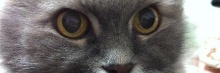 macks1994's profile banner image