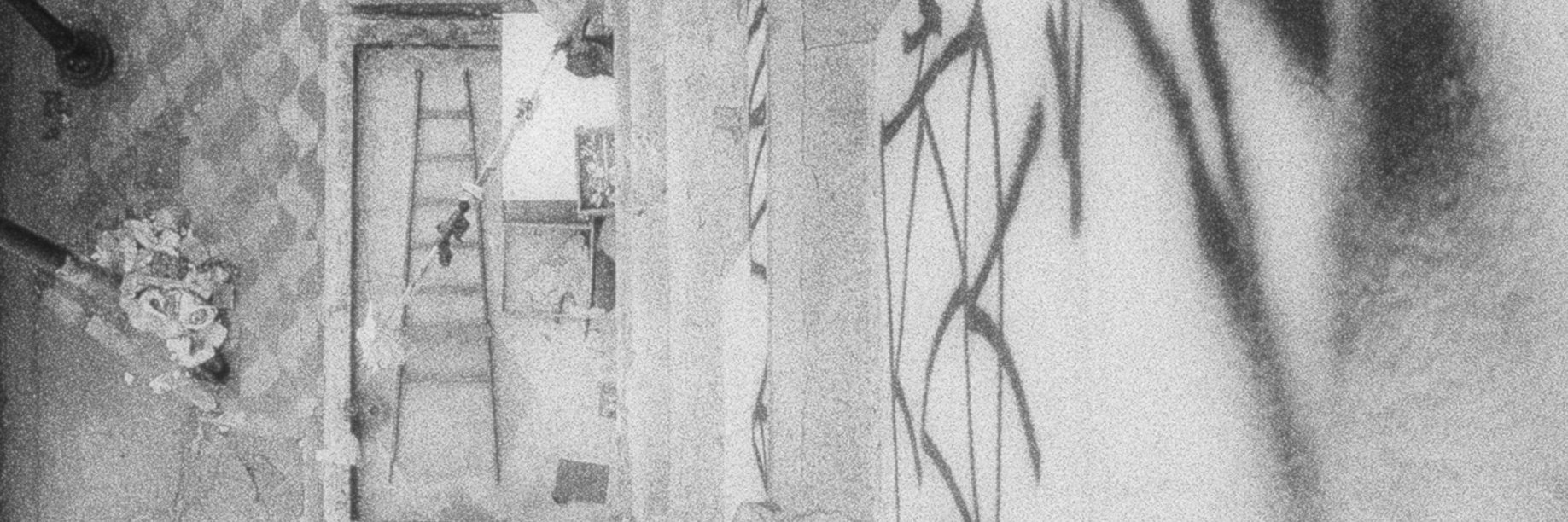 LeonardoMusa's profile banner image