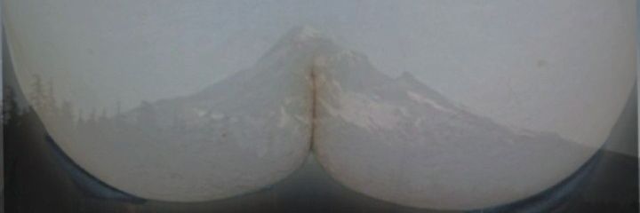 Ebony_4_ivorydomes banner