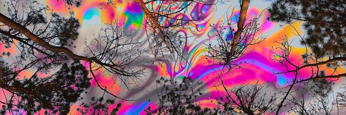 𝖇𝖎𝖌 𝖂 banner