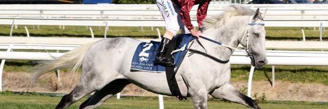David Huxtable (@Empress_Park) / Posts / X
