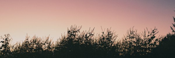 ElephantSho_ Profile Banner