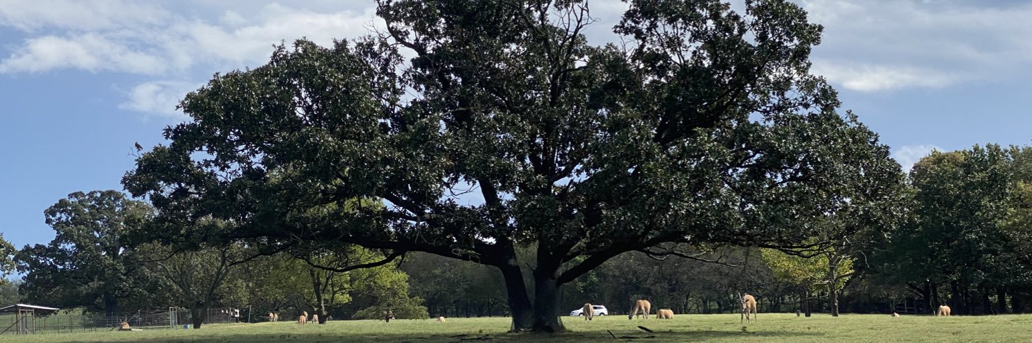 BaronMunc's profile banner image