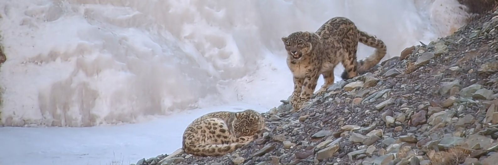 Dick Filby 💙 banner