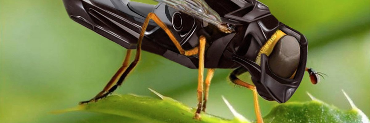 robobees banner