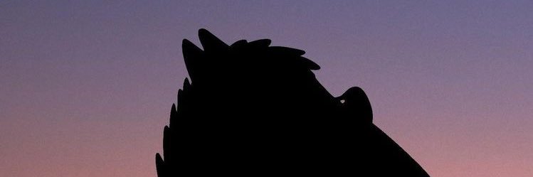 ؘ banner