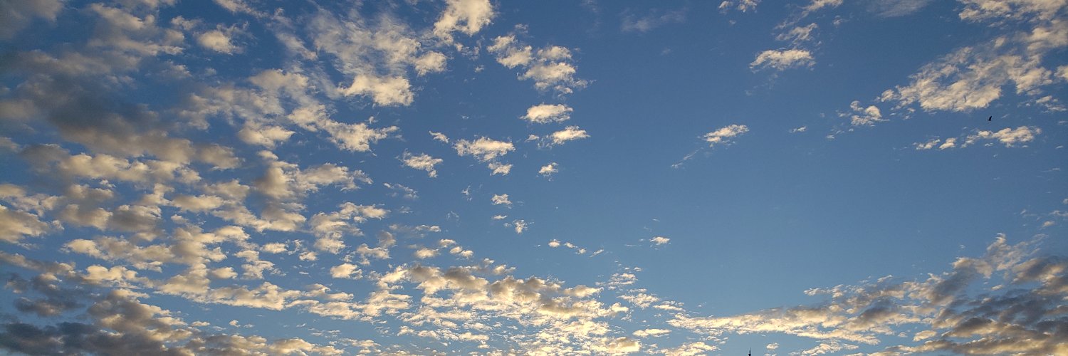 pauliamato's profile banner image