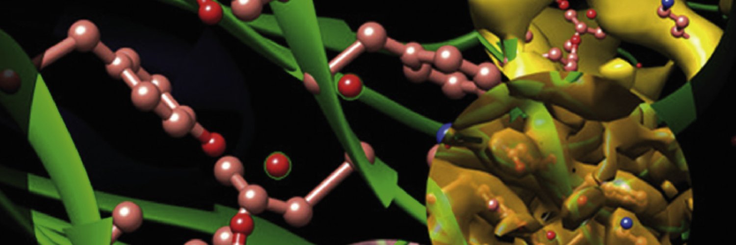 Journal of Structural Biology banner