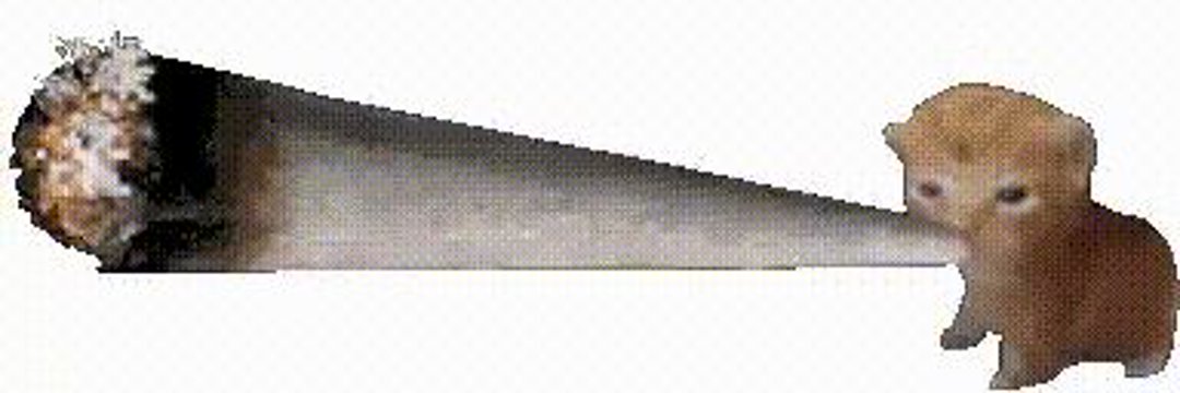sofa's banner