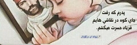 ZinaliF's profile banner image