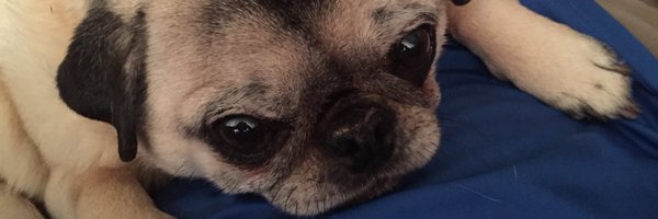 RunDFF Profile Banner