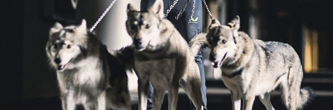 Football Appreciation banner