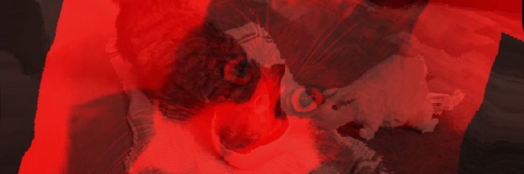 legal_party (Legal)'s banner