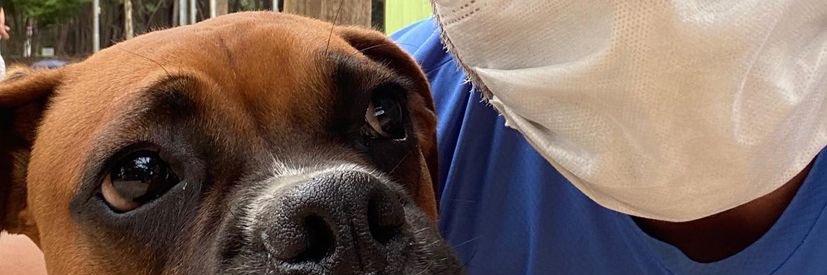 Lucas Armstrong 🇨🇦 banner