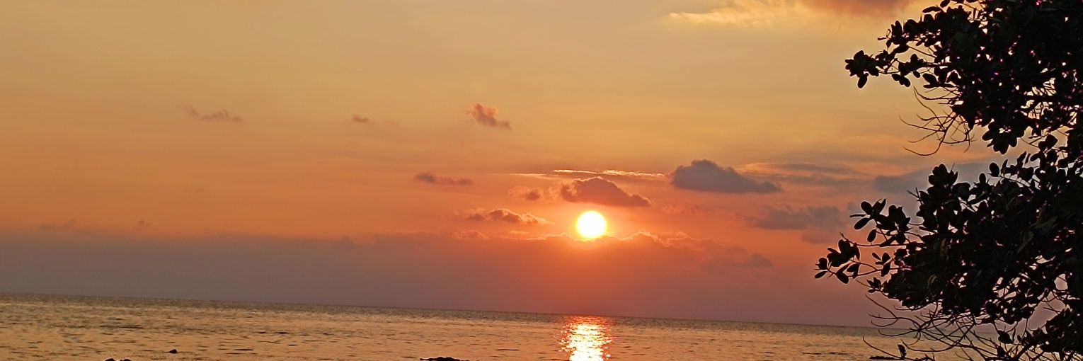 KAUSHIKNANDY7's profile banner image