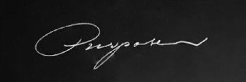 evewiklund's profile banner image