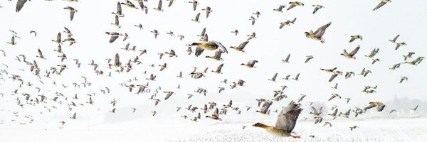 _MATPOCKuH Profile Banner