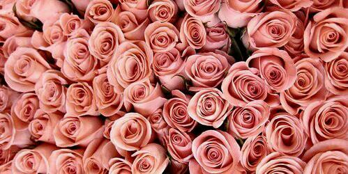 CS_AomSushar88's profile banner image