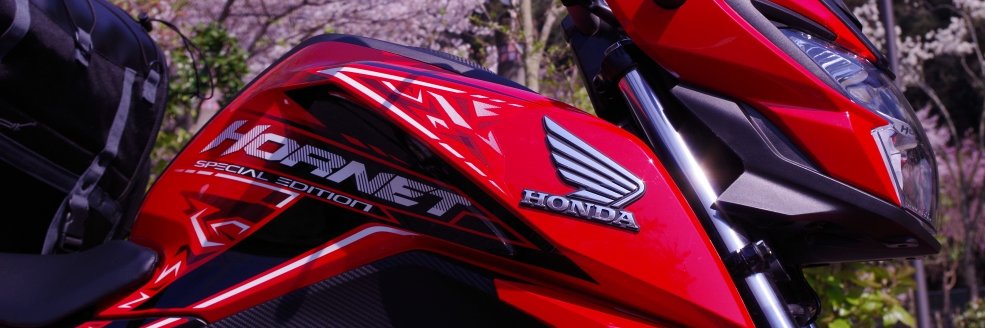 芳澤洋子@大阪🐸🚀専業 banner