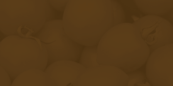 seednleaf's profile banner image