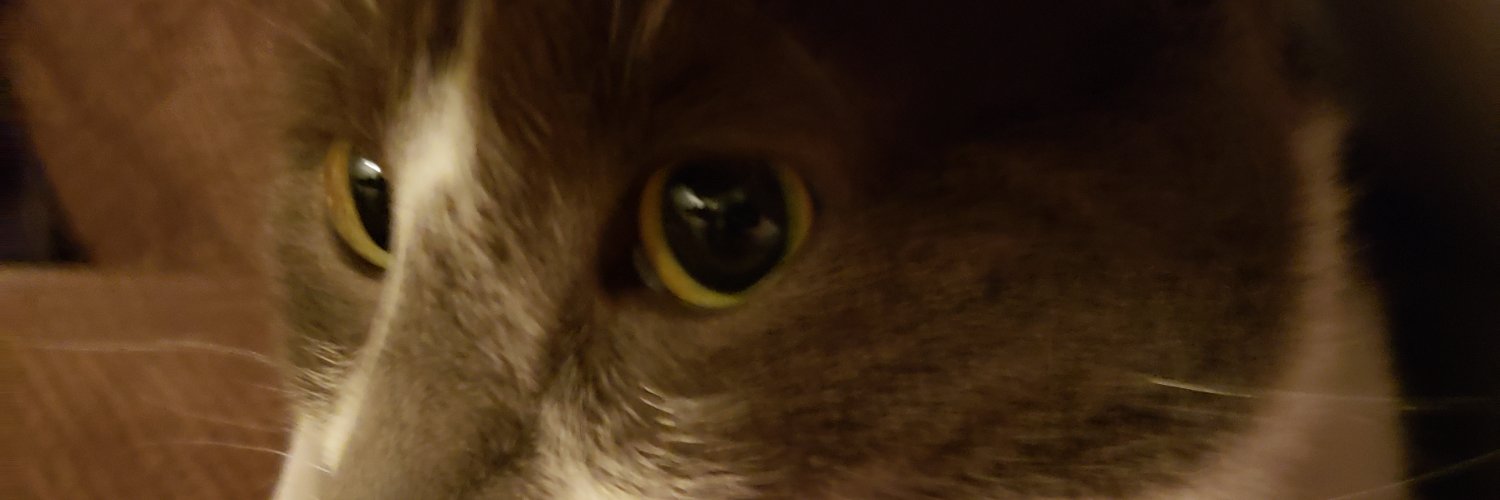 Alice Hargreaves - Gpose Comms on Ko-fi (0/3) banner