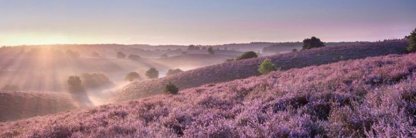 Jascha Hagendoorn banner
