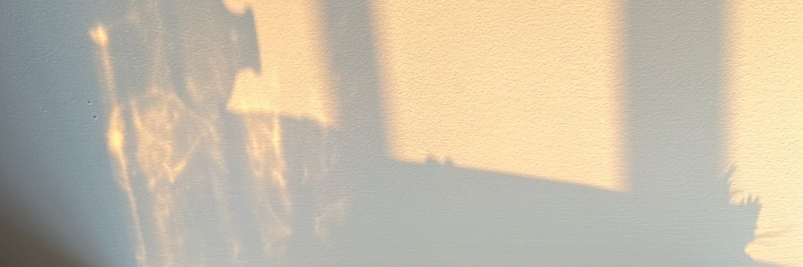 魚 banner