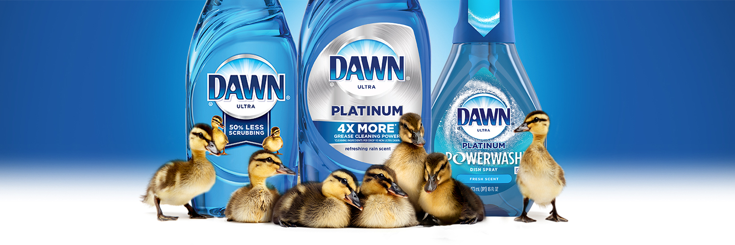 Dawn banner