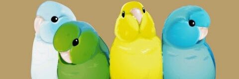 ChanChii19's profile banner image