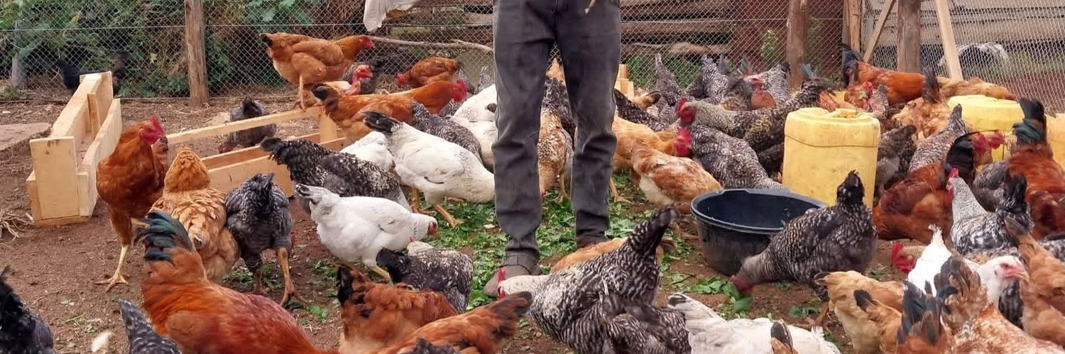 ChifashuPeter's profile banner image