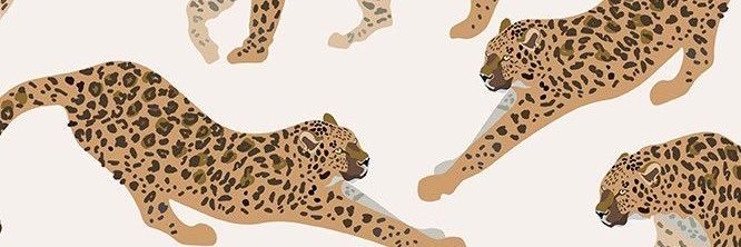 kaslarikeeman's profile banner image