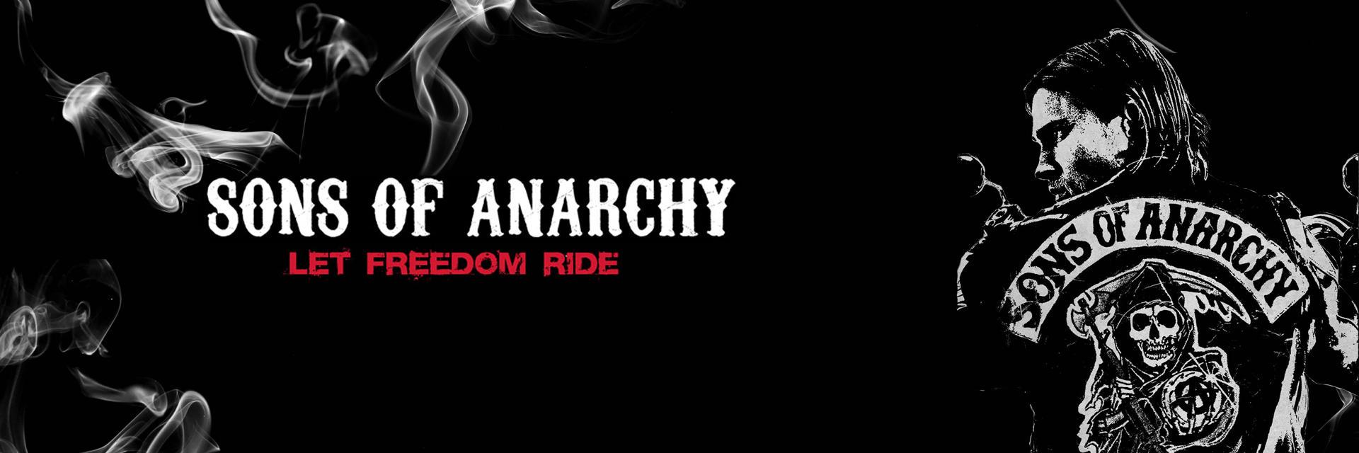 Daniela Scaraçati banner