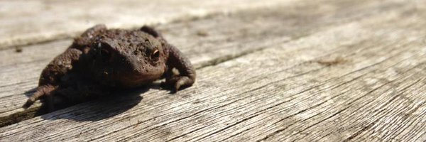 theOTbloke Profile Banner