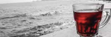 lyconpolis's profile banner image