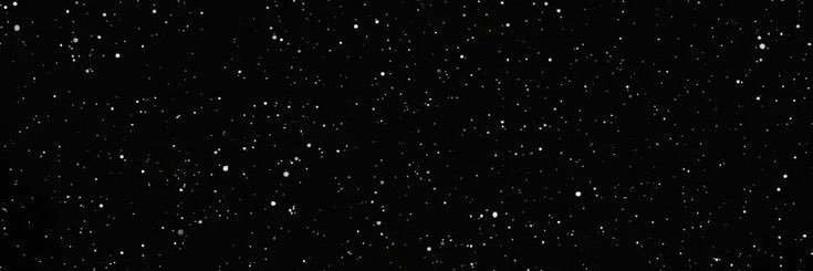 rhamnosus's profile banner image