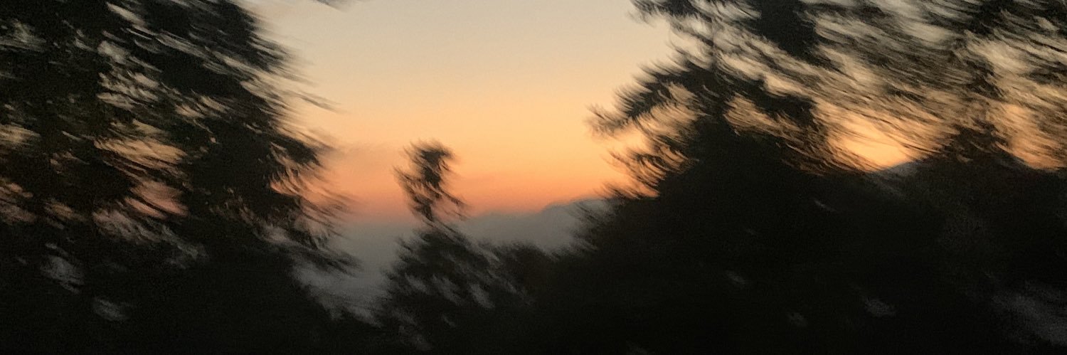 sleepsleepN's profile banner image