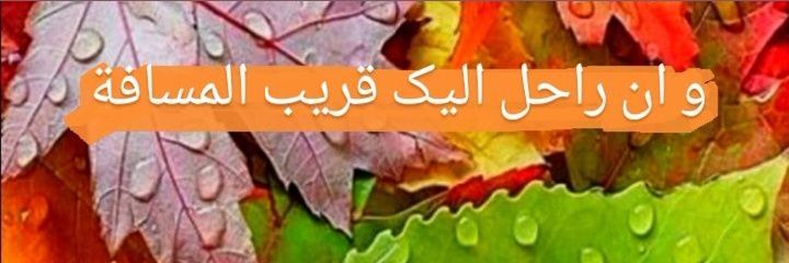 Mojdeh's banner