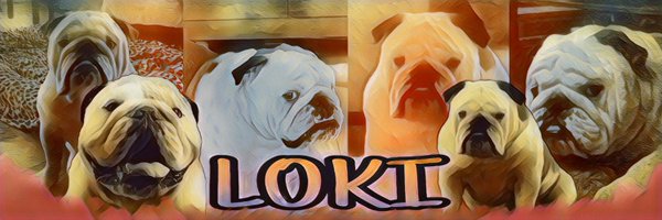 KingLok43786090 Profile Banner