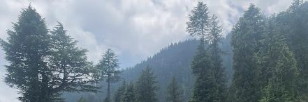 Rawrawrawraw12's profile banner image