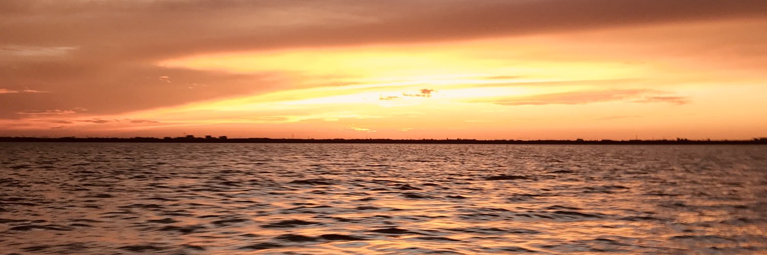 RayLopezM's profile banner image