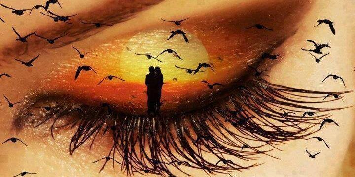 Xiomy CM AMBIENTAL banner