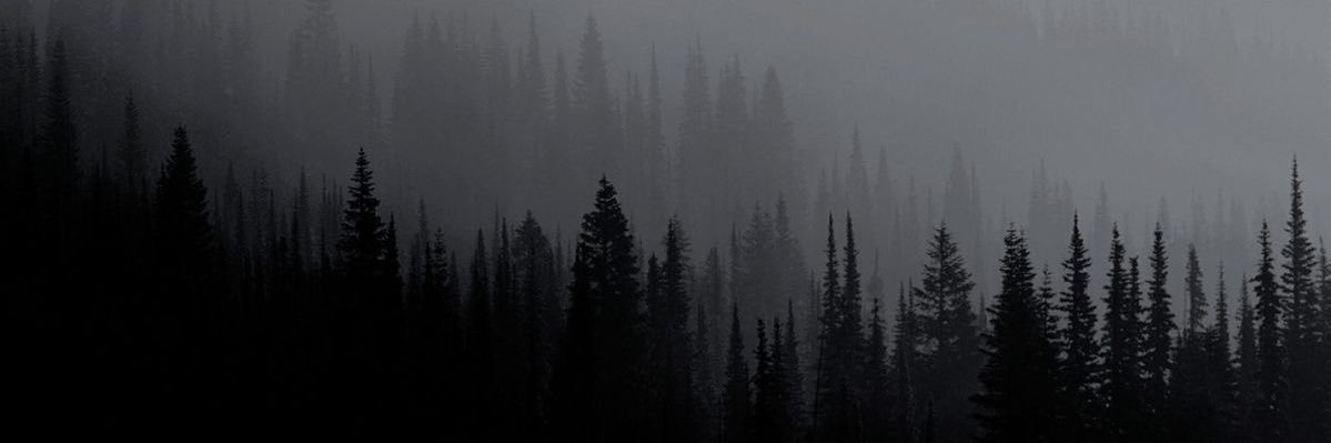 7_moonl's profile banner image