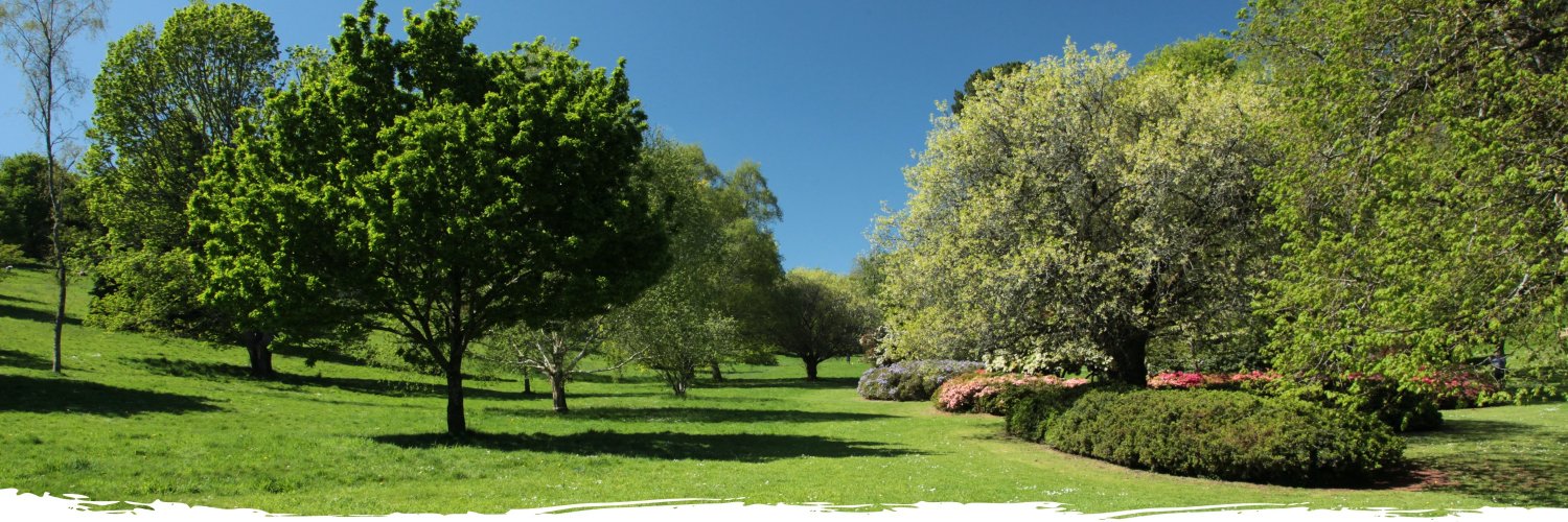 Cockington Park banner