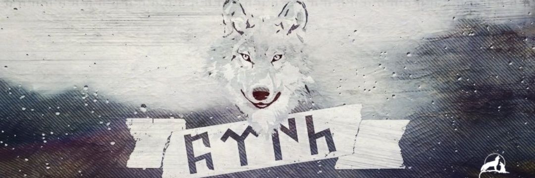Aslan Börü banner