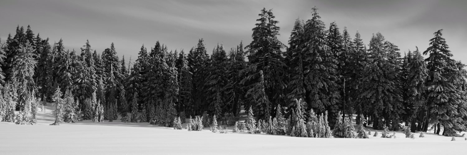 Eric Robertson banner