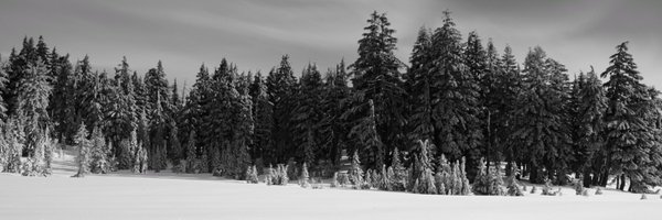 EricRobertson Profile Banner