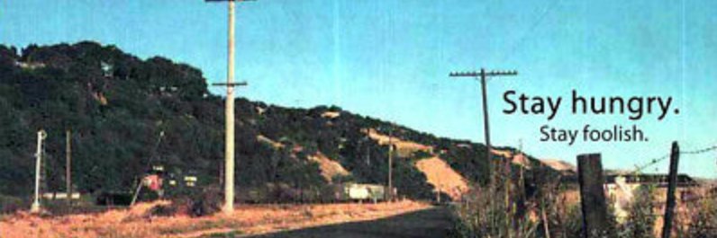 Samurai 🇪🇸 🐍 banner