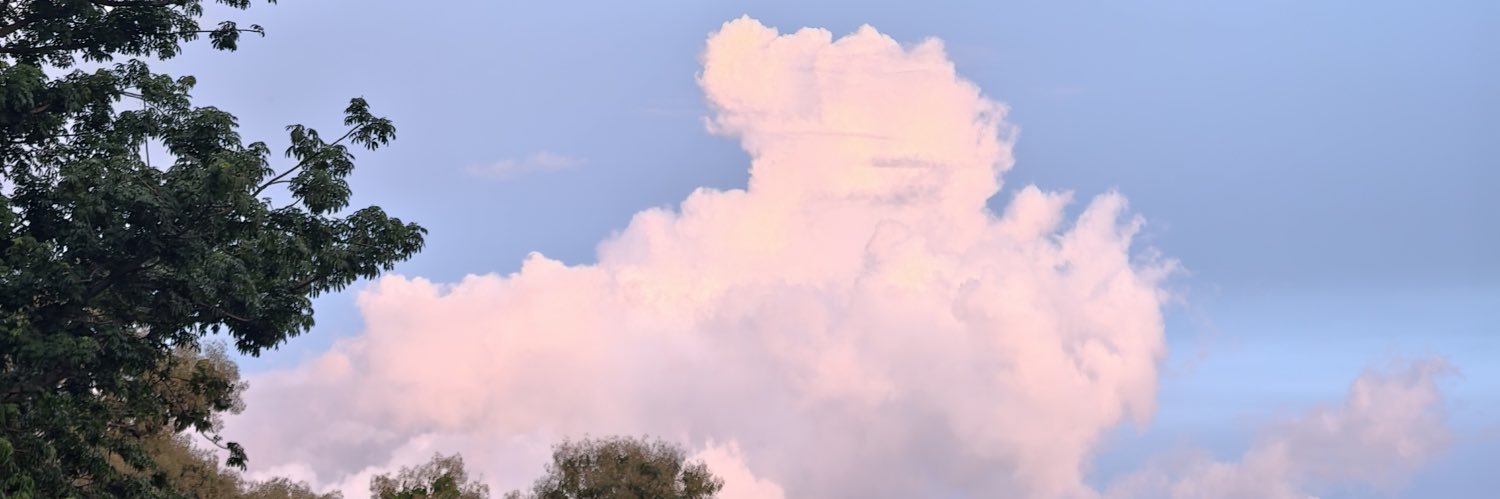 DD-MooNGOR (՞•Ꙫ•՞) banner