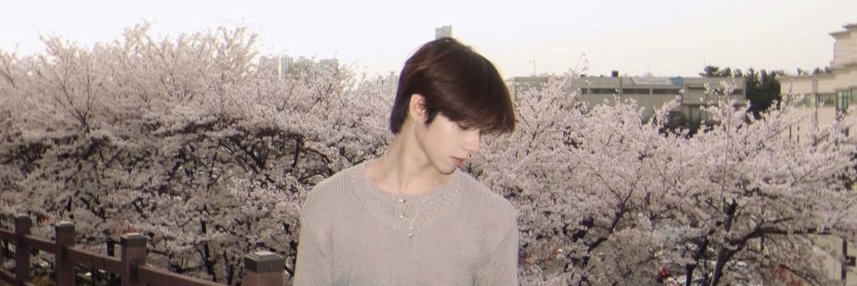 ᥫ᭡⋆ banner