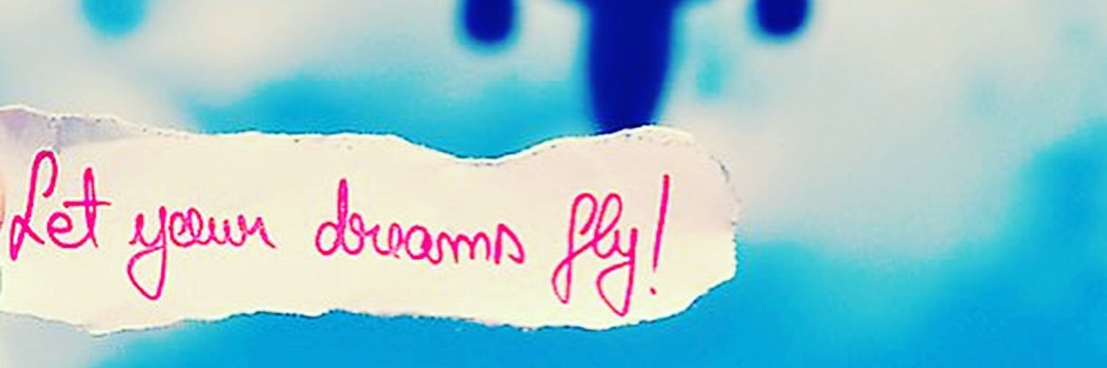 chanSDBNR's profile banner image